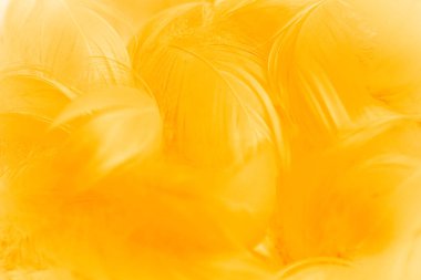 Yumuşak, harmanlanmış sarı tonlardan oluşan soyut bir arka plan. Akan desenlerle doku pürüzsüz görünüyor. Sıcak ve davetkar bir atmosfer yaratıyor..