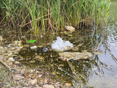 Uzun yeşil çimenler ve kayalarla çevrili kirli bir su kütlesindeki plastik atık. Sahne çevre sorunları ve kirliliği vurguluyor.