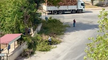 Antalya, Türkiye - 2.10.2025: Bir caddeden dalları temizleyen iki işçi. Yakınlarda kütüklerle dolu bir kamyon var. Sahne kentsel peyzaj ve bakım faaliyetlerini gösteriyor.