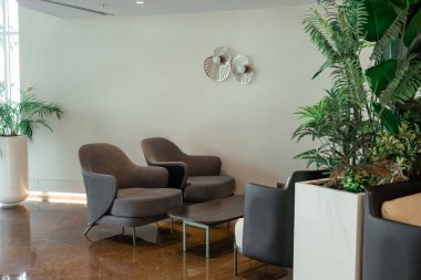 İki gri koltuğu, cam bir masası ve beyaz kaplarda dekoratif bitkileri olan modern bir salon alanı. Parlak ve ferah bir atmosfer.