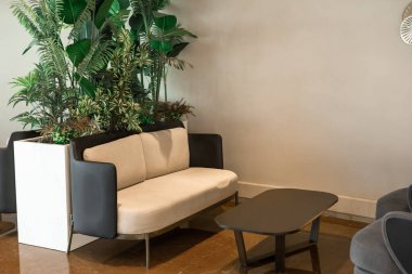 İki gri koltuğu, cam bir masası ve beyaz kaplarda dekoratif bitkileri olan modern bir salon alanı. Parlak ve ferah bir atmosfer.