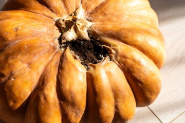 Hafif hasarlı yüzeyi olan büyük, turuncu bir balkabağı, hafif ahşap bir zeminde oturur. Güneş ışığı gölgeler oluşturur. Dokusunu ve kusurlarını vurgular..