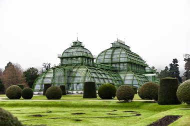 Viyana, Avusturya - 15 Aralık 2025: Avusturya 'nın Viyana kentindeki tarihi sera, düzgünce kesilmiş çalılar ve manikürlü çimlerle çevrili. Yapıda cam kubbe tasarımı ve yemyeşil bir yapı var..