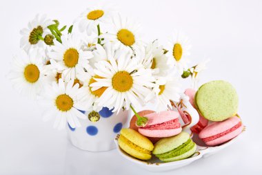 Vazoda macaroons üzerinde uçan daire ile Camomiles.