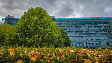 Aynalı cam duvarları olan modern bir ofis binası sonbahar ağaçlarını ve bulutlu gökyüzünü yansıtır. Doğal elementlerle dolu bir şehir..
