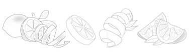 Minimalist bir çizgide elle çizilmiş limon çizimi. Yiyecek paketleme, restoran menüleri, organik gıda etiketleri, markalaşma, posterler ve mutfak dekorasyonu için dilimlenmiş limon, limon dilimleri ve limon kabukları resimlerini içerir..