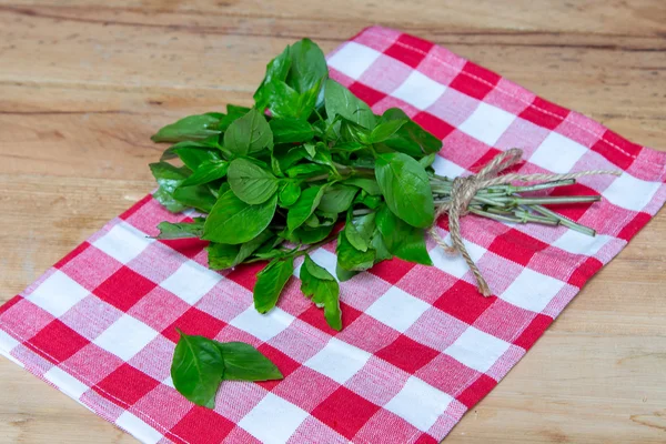organik taze fesleğen