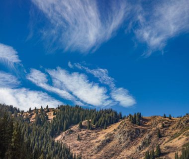 Güzel manzara. doğa arkaplanı