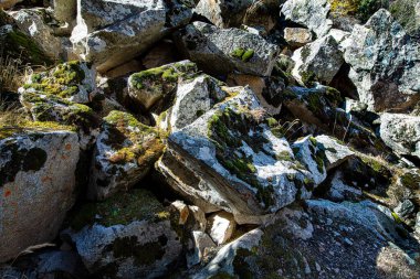 Dağdaki yosunlarla kaplı taş duvar.
