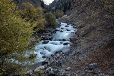 Sonbahar mevsiminde güzel dağ nehri