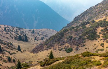 Yüksek dağ zirvelerinin yüksek irtifasından bir dağ vadisi manzarası.