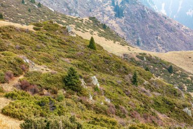 Dağların güzel manzarası, doğa, seyahat