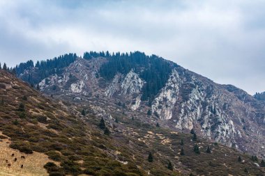 Arkaplanda dağların ve bulutların manzarası