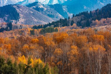 Renkli ağaçlar ve dağlarla dolu sonbahar manzarası