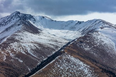 Karla kaplı orman ve bulutlarla kaplı kış manzarası