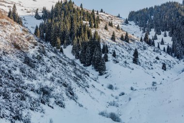 Kışın karla kaplı dağları