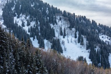 Kış dağının güzel manzarası