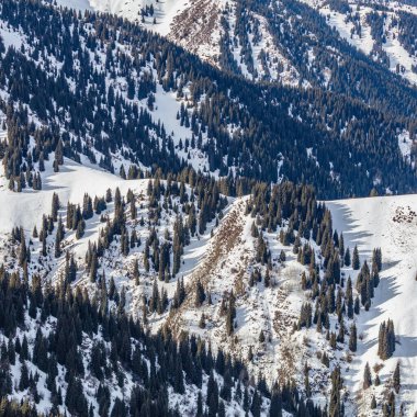 Alplerdeki kayak merkezi