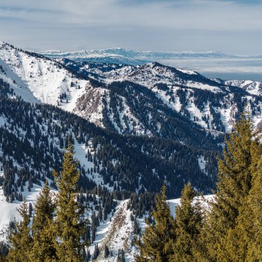 Dağın tepesinden manzara