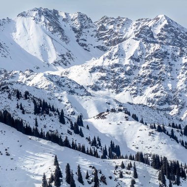 Karla kaplı dağlarla kaplı kış manzarası
