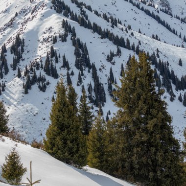 Kış mevsiminde karla kaplı dağ manzarası