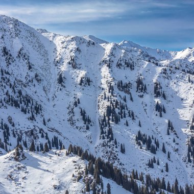 Karlı ve ağaçlı güzel dağ manzarası