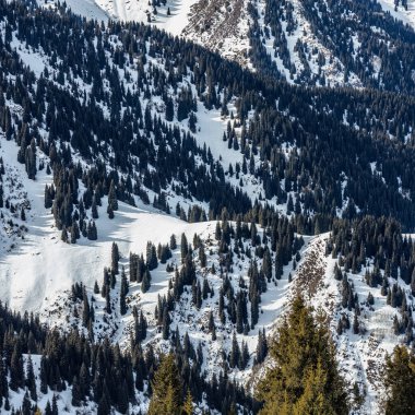 kış dağ manzarası, karlı dağlar ve ağaçlar, doğa, seyahat ve dinlenme alanı.