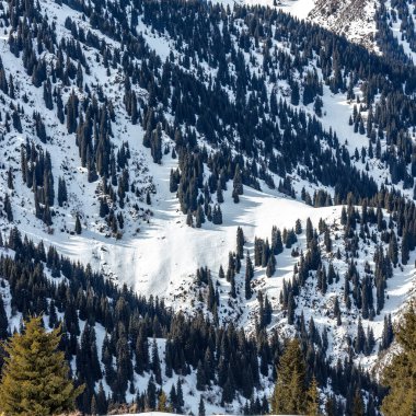Karlı güzel kış manzarası