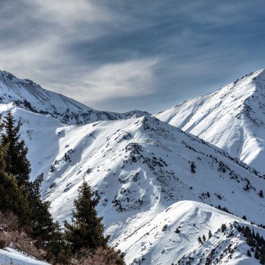 Karla kaplı ağaçlarla kaplı güzel kış manzarası