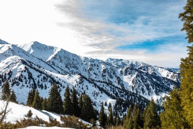 Karla kaplı ağaçlarla kaplı güzel dağ manzarası