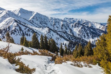Kafkas dağlarının kardaki kış manzarası..
