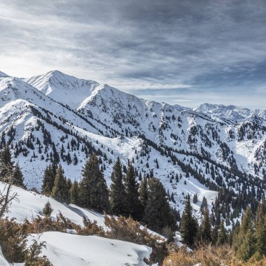 Kışın dağların manzarası