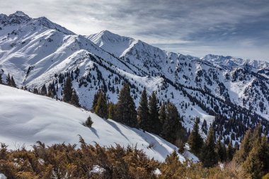 Kış dağlarının arka planında karlı dağlar ve ağaçlar