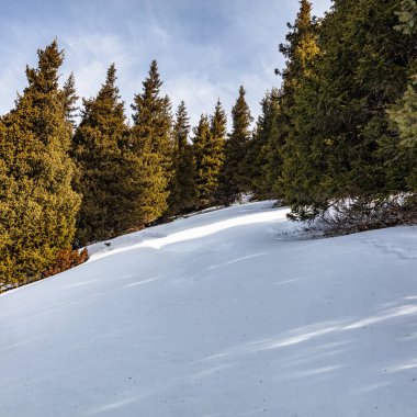 Kar- ormandaki dağlık yamaç, kış manzarası
