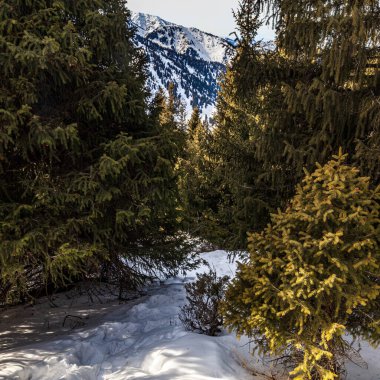Güney Tyrol, İtalya 'da kış manzarası.