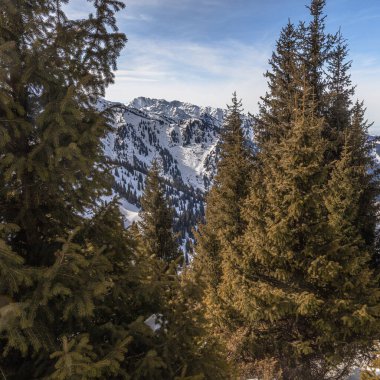 Almanya 'daki Bavyera dağlarında kış