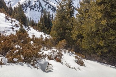 Kışın karla kaplı dağlar.