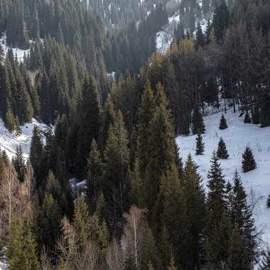 Dağların güzel manzarası