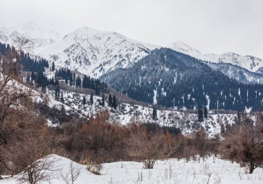 Kışın karlı dağ manzarası. Kafkaslar, Rusya