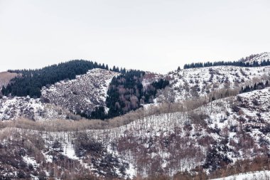 Kış dağı manzarası. Dağlar ve tepeler karla kaplı