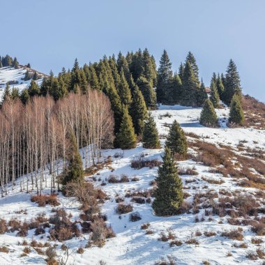 Kar, ağaçlar ve dağlarla kaplı kış manzarası