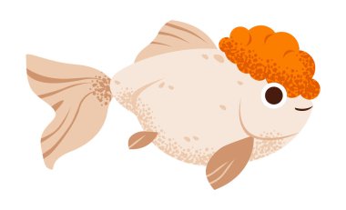 Portakal Kafa Balonlu Şirin Japon Balığı. Portakal renkli baloncuklu kafası olan, neşeli bir çizgi film tarzında, bir oranda andıran süslü bir Japon balığının sevimli bir tasviri.