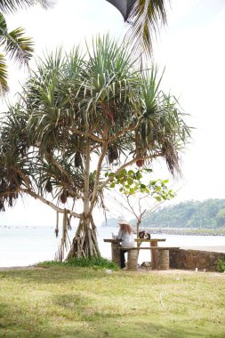 A woman sits under a dry tree on the beach during the day.