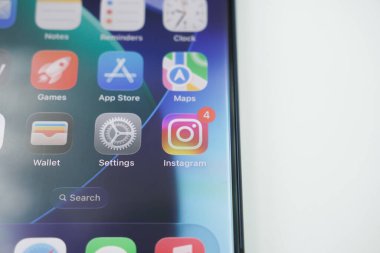 Instagram application on the iPhone home screen