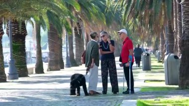 Napoli 'deki Capitaneria di Porto Liman Müdürlüğü yakınlarındaki rıhtımda köpeklerle gezen kalabalık, günlük şehir yaşamını ve gelişigüzel şehir faaliyetlerini kaydediyor. İtalya 11.29.2025