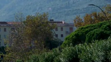 Napoli 'nin boş caddeleri İtalya' nın Capitaneria di Porto Limanı Genel Müdürlüğü çevresindeki yeşil ağaçlar ve tarihi mimariyle dolu sakin bir şehir manzarası yaratıyor..