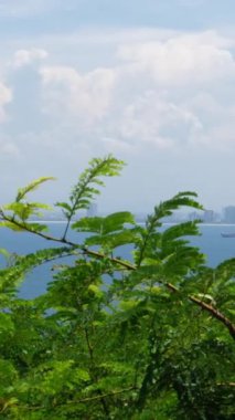 Şehir ve Deniz Panoraması ile Danang 'da Gün Batımı. Okyanus şehri silueti Danang