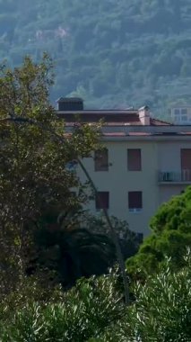 Napoli 'nin boş caddeleri İtalya' nın Capitaneria di Porto Limanı Genel Müdürlüğü çevresindeki yeşil ağaçlar ve tarihi mimariyle dolu sakin bir şehir manzarası yaratıyor..