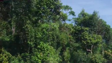 DaNang Vietnam yakınlarındaki Bana Hills 'te renkli teleferikler kayarak dağların ve ormanların üzerinden geçerek panoramik manzaraları ve ünlü turistik yerleri yakalıyor..