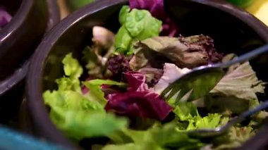 Marketteki Raftan Yeşil Salata alan Kadın El. Genç kadın organik sebze alıyor. Yeşil ve mor marul yaprakları toplamak için.